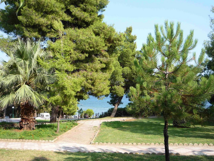  Metamorfosi, Sitonija 